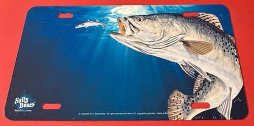 Salt water fishing - fishing, booster